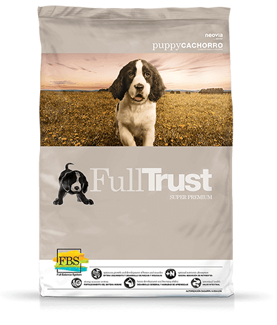 FullTrust Cachorro