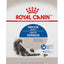 Royal Canin Gato Indoor 3.1kg